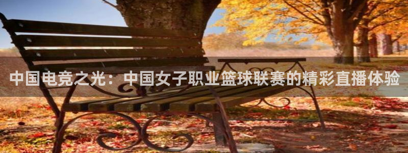 体育新闻