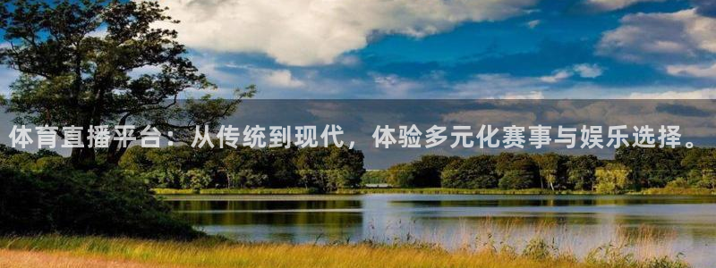 黑白直播免费高清看球神器