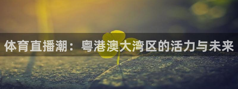 黑白直播nba免费高清在线观看