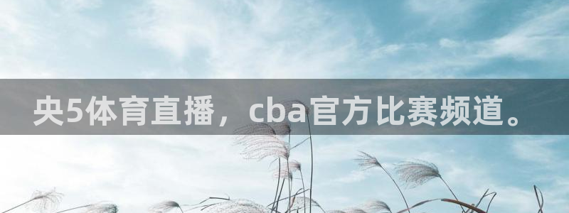 体育新闻