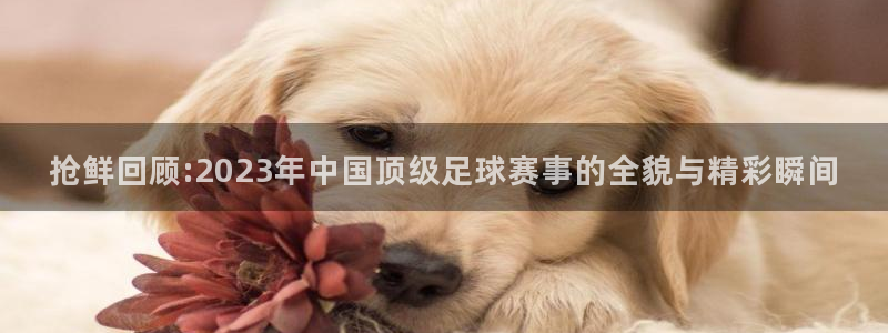 体育新闻