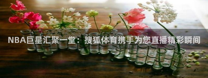nba黑白直播体育在线观看
