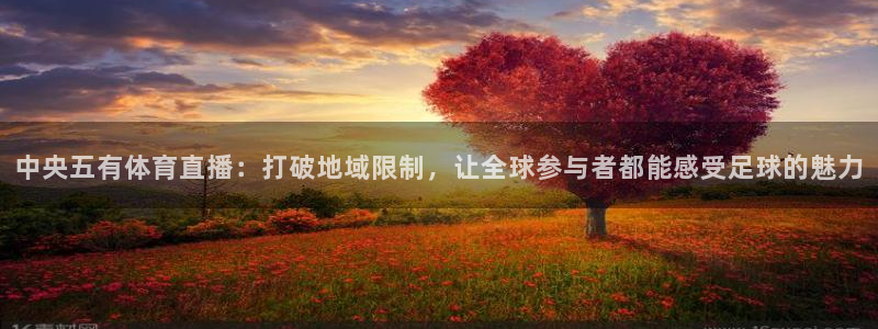 黑白直播体育nba直播app